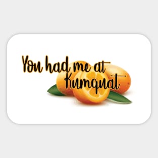 You ahd me a kumquat Sticker